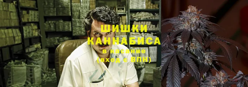 нарко площадка телеграм  купить  цена  MEGA как зайти  Энем  Бошки Шишки Bruce Banner 